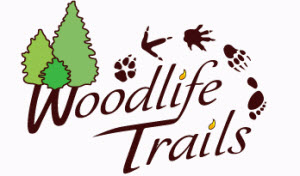 Woodlife_Trials